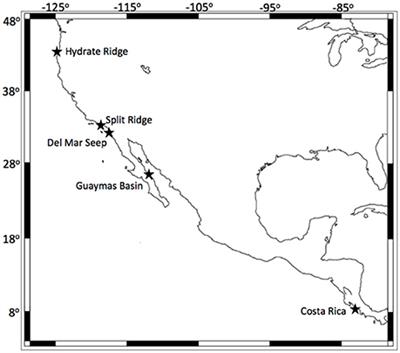 Colonial Tube-Dwelling Ciliates Influence Methane Cycling and Microbial Diversity within Methane Seep Ecosystems